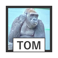 TOM